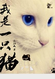 遗留笔记本