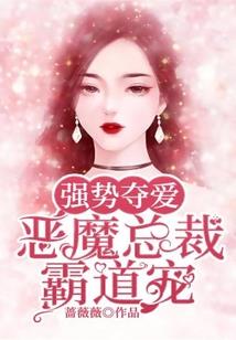 智慧至尊