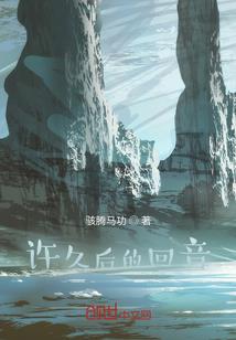 转世之凤舞九天