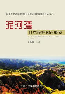 晓梦无心映有心