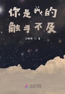新玫的故事