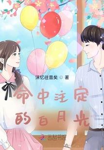 樱花的网恋