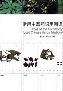 世界漏洞系统