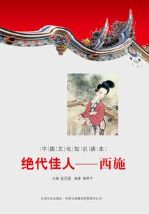 宇文镖局宫廷连环刺人案