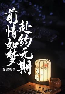 雪漠留年