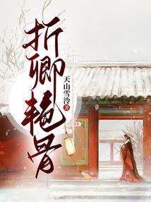 fate湮灭的雪夜