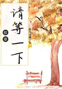 我的老婆在天界