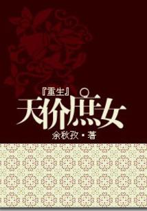 星探案之婚外孽情