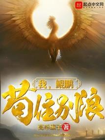 游戏达人的异世界之旅