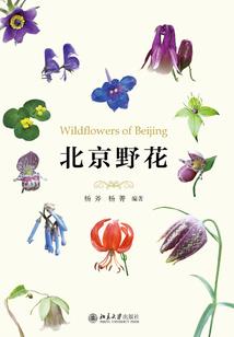 捡个乞丐当老公