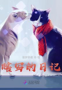 海贼之乱世帝国