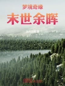 王者荣耀之无冕传奇