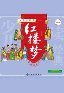 迟钝佳人