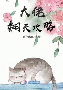 守卫与救赎——光明
