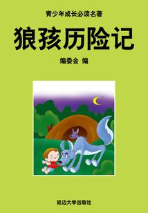 三国瑯琊王
