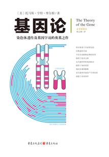 武祖之武碎虚空