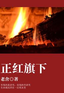 暖婚甜入骨