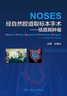 苍穹危机之西方入侵