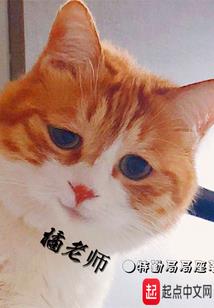 阿利甫的魔幻城堡