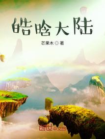 无法捕捉的她