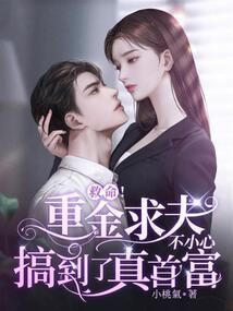 云仙起