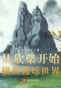 风辰心