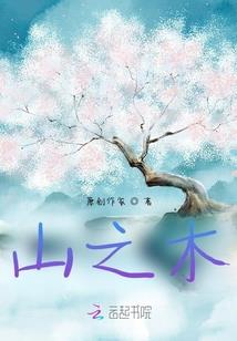 天启大陆之牌皇传说
