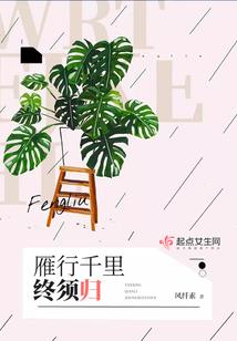 斗罗：武魂波旬