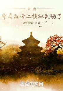 流浪者正传