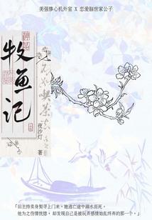 烟雨梦红楼