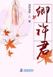 重生佳人倾城