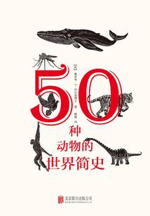 神赋图腾