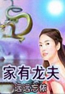 孤刀记