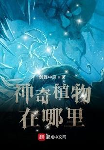 九世夜袭