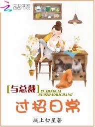 网王不一样的天空