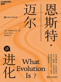 平面计划