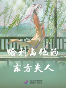 红楼之晴空万里