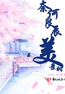 大金皇妃