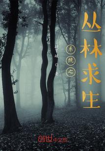 山贼皇