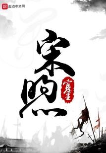 大宋霸业