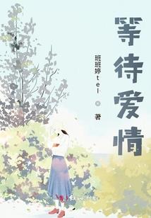 沙漠之魂