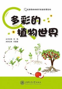 我是一个引灵人