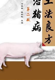 太阳毁灭之文明碰撞