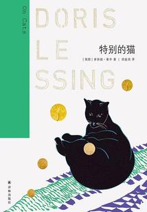 小神不记得