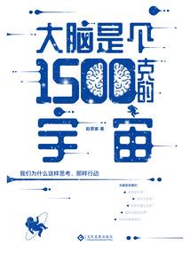 长安暗刺