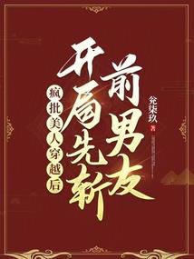 少十三郎之赏金猎人