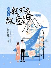 《都市刀峰》