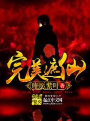 盗心传
