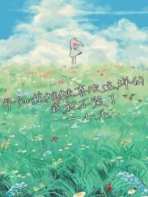 大夏苍龙