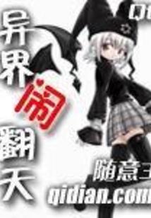 天启纪实